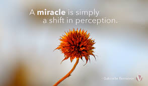 Miracle Mindshift